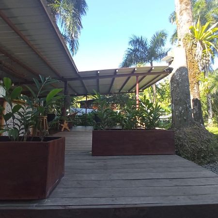 博卡斯德尔托罗La Luciernaga Big Creek住宿加早餐旅馆 外观 照片