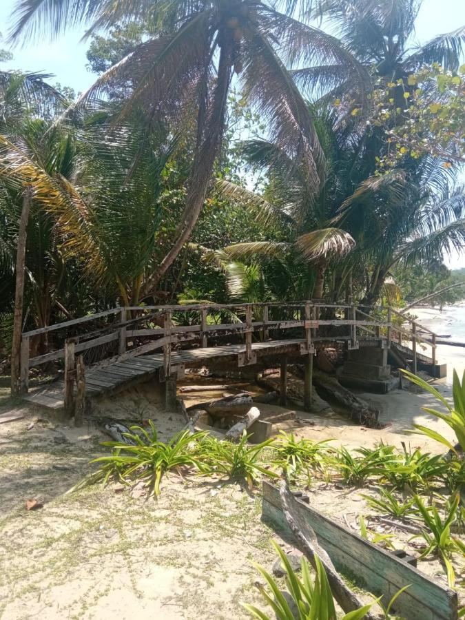 博卡斯德尔托罗La Luciernaga Big Creek住宿加早餐旅馆 外观 照片